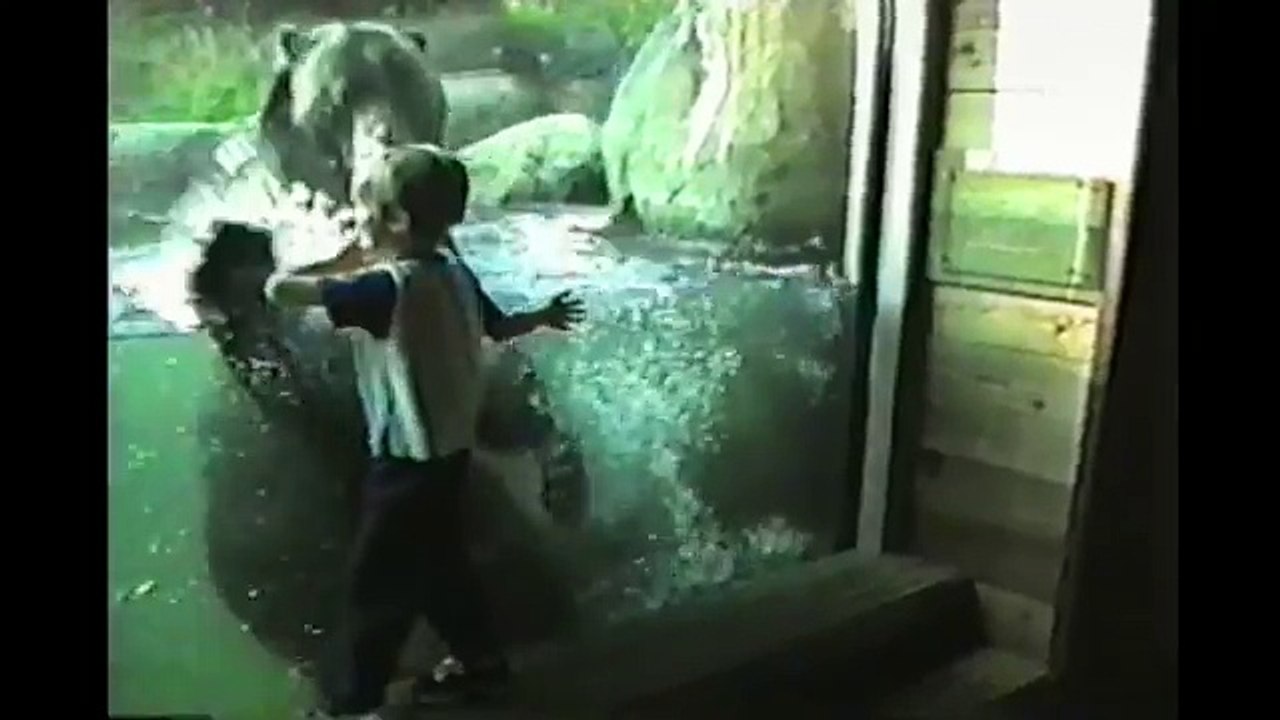 Kids At The Zoo_ Compilation