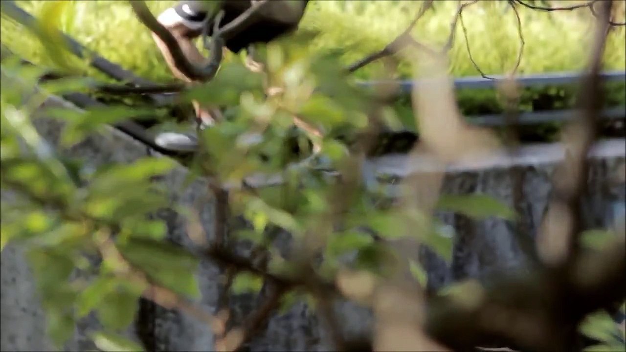 Can't Stop - Parkour and Freerunning Taiwan
