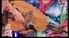 Algerie Musique Andalouse