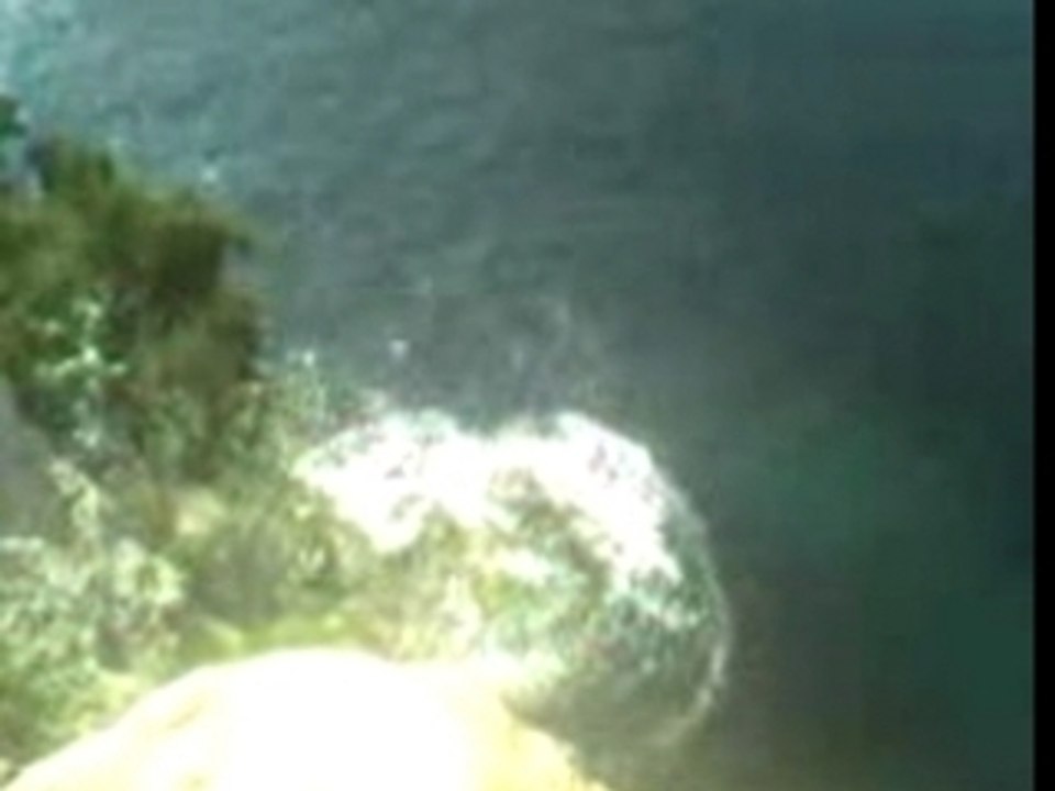 Video 04210001