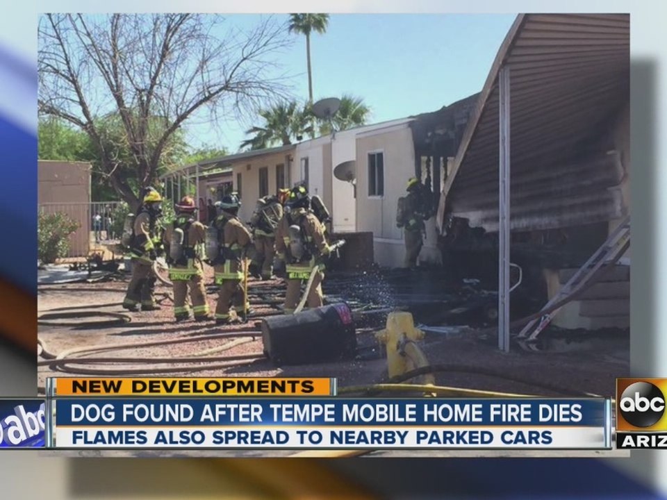 Dog dies in Tempe trailer fire