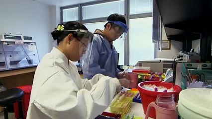 The Secrets of Sugar - The Fifth Estate - CBC News 14