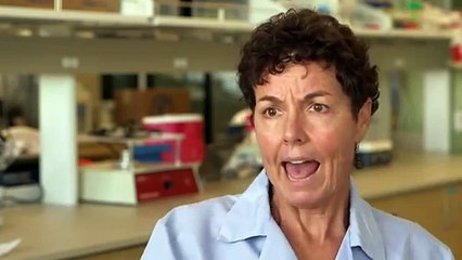 The Secrets of Sugar - The Fifth Estate - CBC News 17