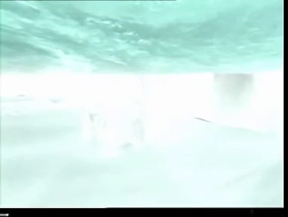 A Mild Menthol - Iglo Bear