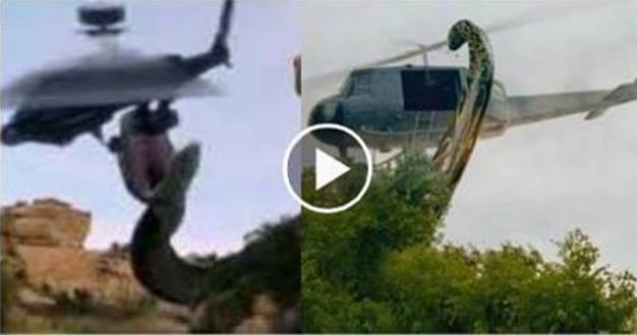 Anaconda Snake Attack Helicopter Anaconda Gallery