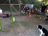Delta Dog a.s.d.-Max & Monica in Agility training at Camping Florenz,.MOV