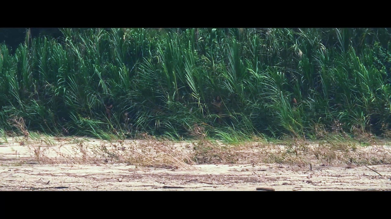 Lost City Of Z - Sales Piece