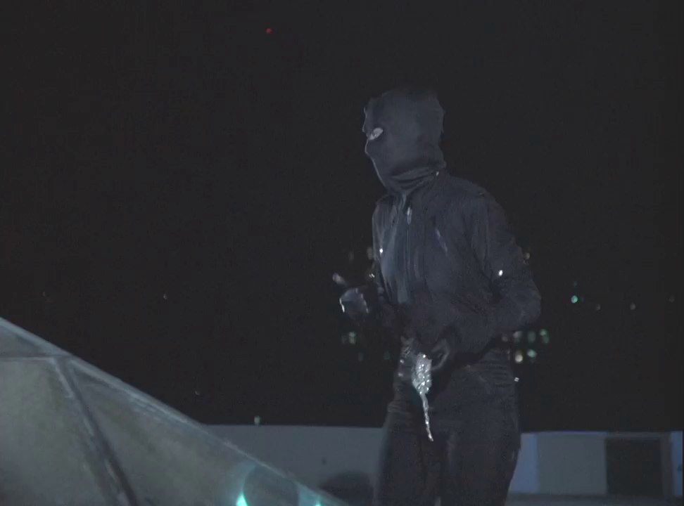 Female cat burglar unmasked! [with David Hasselhoff] video Dailymotion