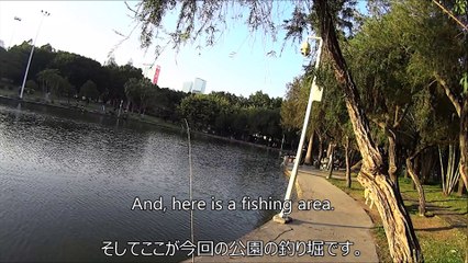 ペン型ロッドを使って公園の釣り堀に挑戦！　Chellenging Area Fishing with Pen-typed Rod