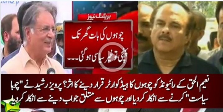 Pervaiz Rasheed refuses to comment over ongoing rat-killing campaign in Peshawar