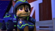 Paw patrol Pups Save the Space Alien   Pups Save a Flying Frog 011