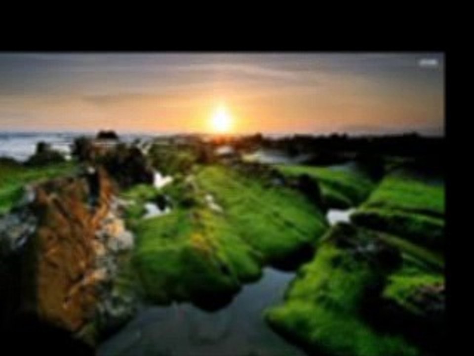 nature video at basic at home the very nice improvment