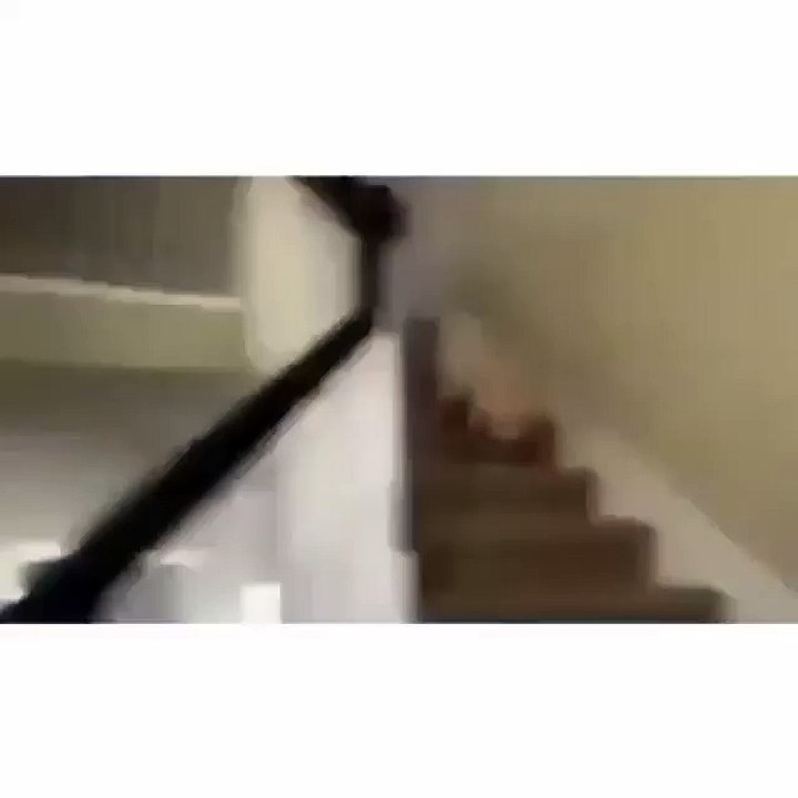 That Poor Dog