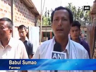 Voters says controlling elephant menace key to selecting new government in Assam