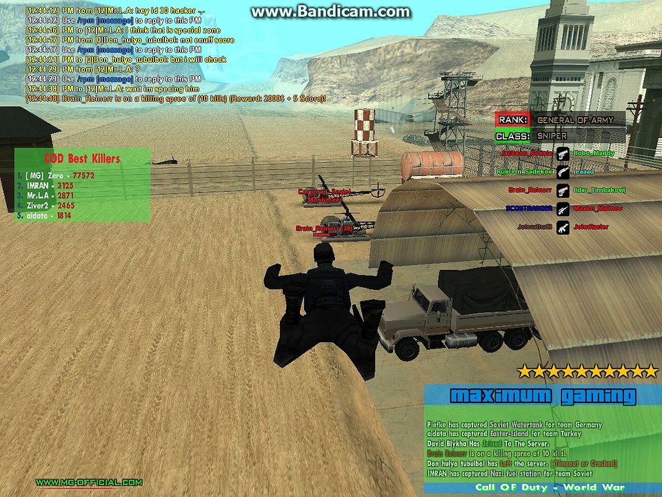 brain_reiner fly