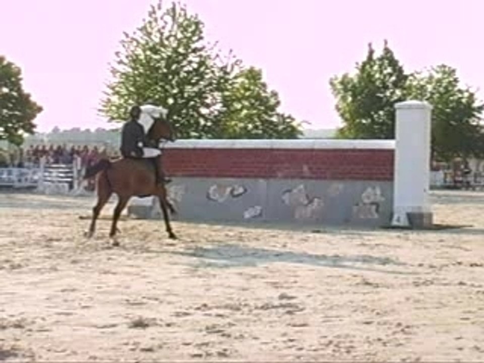 Grand Prix + puissance 125