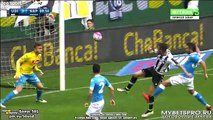 Cyril Thereau Goal - Udinese 3 - 1 SSC Napoli 03.04.2016