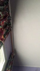 2º Periscope - 02/04/2016 | Hugo Paz solo en casa | @CFHugoP