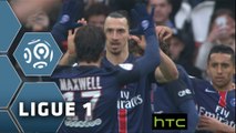 But Zlatan IBRAHIMOVIC (15ème) / Paris Saint-Germain - OGC Nice - (4-1) - (PARIS-OGCN) / 2015-16