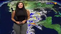 Mexican weather girl Susana Almeida with camel toe