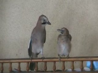 Rencontre de GG et Noé