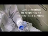 Mimicking vocal cord vibrations