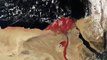 Why Does Nile Appear Blood-Red In This Satellite Image