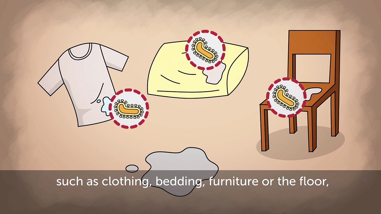 Ebola Details
