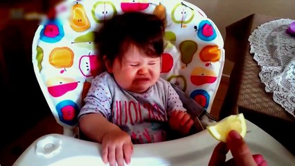 Cute Baby Videos Funny - Funny Babies Compilation - Video Clip