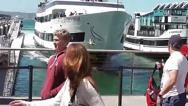 Impressionnant, ce bateau arrive beaucoup trop vite sur le quai