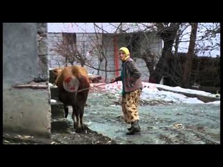 Në tremujorin e katërt 2015 dolën nga skema e ndihmës ekonomike 2067 familje