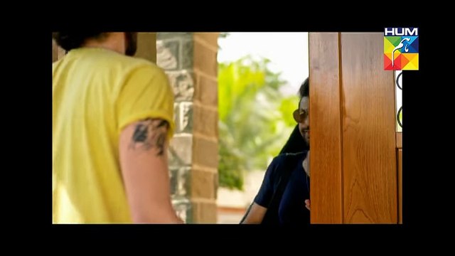 Udaari upcoming Pakistani Hum TV drama serial