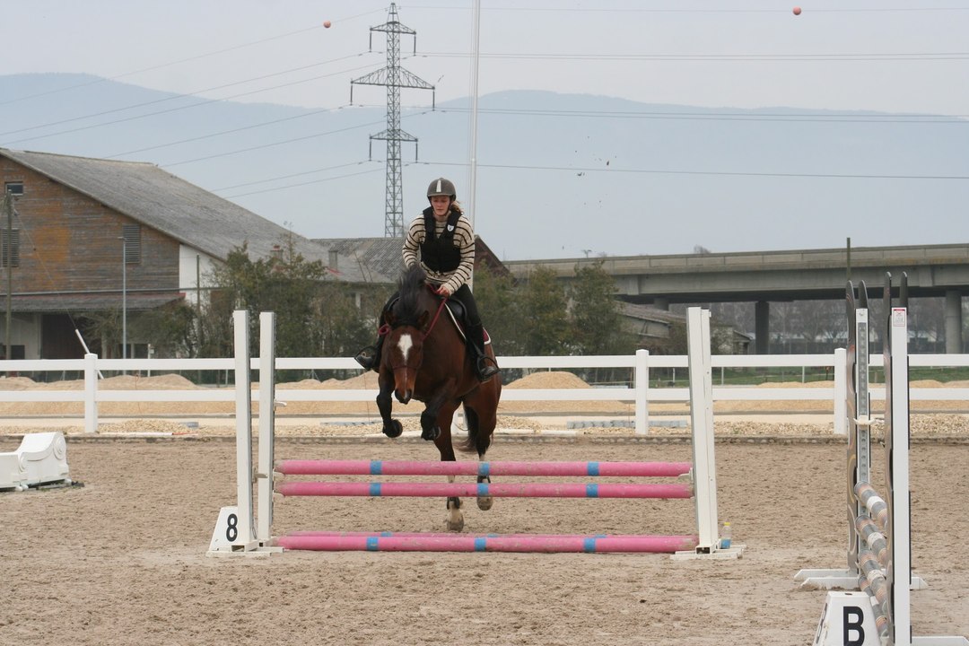 03.04.2016 Parcours de saut analysé, premier passage