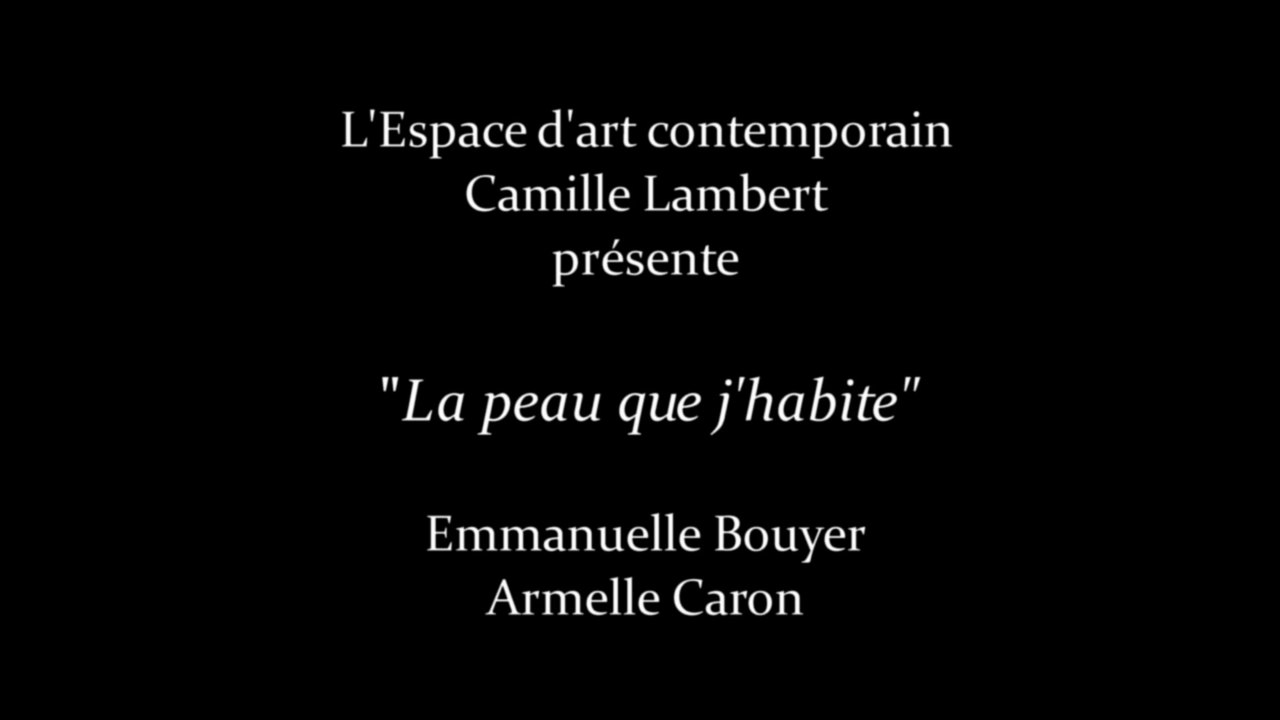 "La peau que j'habite"