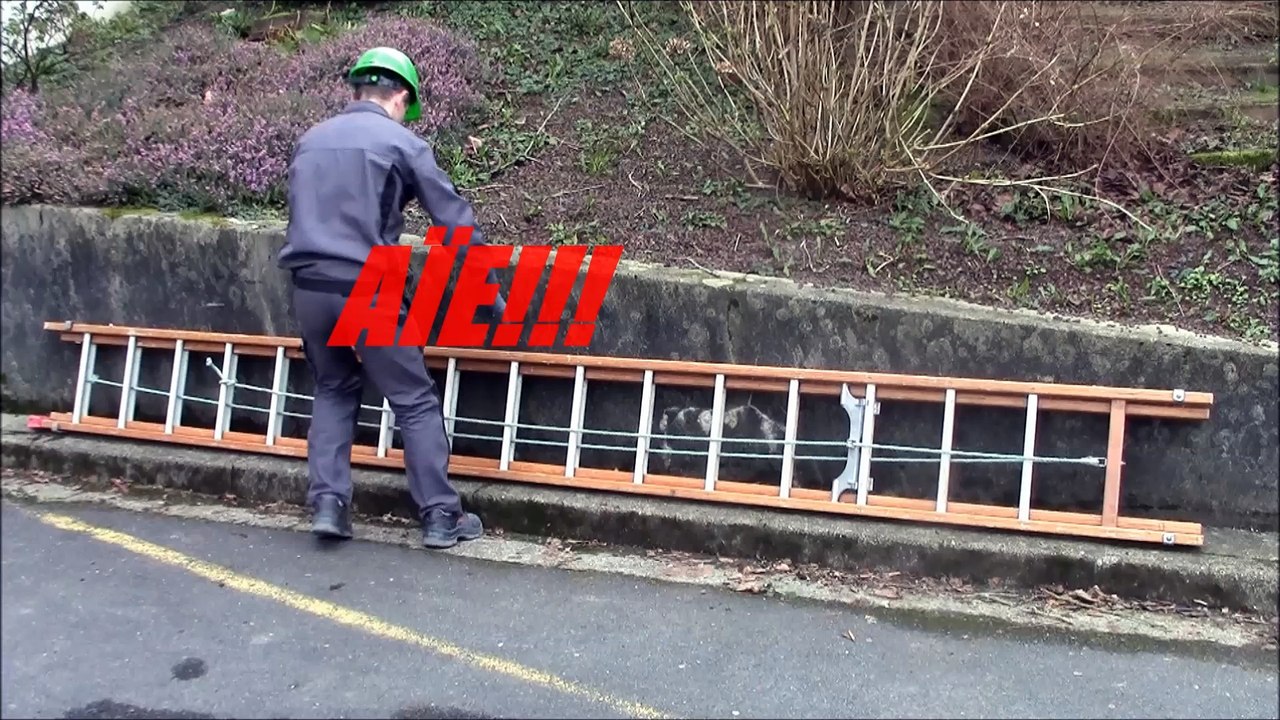 J'en ai plein le dos !