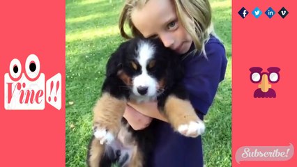 ► Tara Strong Vine Compilation "best vines PART 1" top viners 2016 ☑