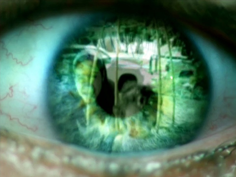 SLAYER - Eyes Of The Insane