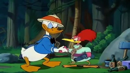 Dessin Animé | Donald et Pluto Dessin Animé Walt Disney