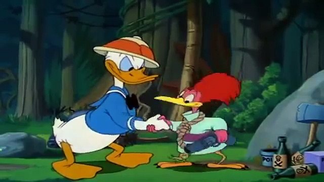 Dessin Animé | Donald et Pluto Dessin Animé Walt Disney