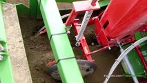 Preparing soil, planting potatoes and ridging in a single pass - Fendt 720 & Baselier Combi planter