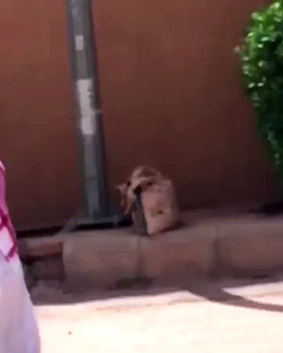 شاهد .. فيديو لفتيات بثياب رجال في أحد شوارع السعودية يشغل تويتر