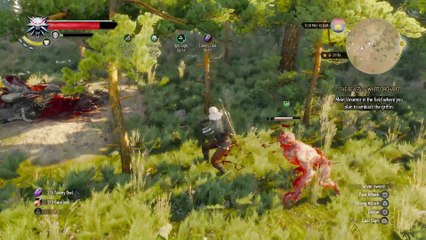 WITCHER 3 DEATH MARCH! WALKTHROUGH 15 - DIRTY FUNDS