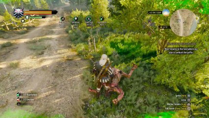 WITCHER 3 DEATH MARCH! WALKTHROUGH 18 - THE BEAST OF WHITE ORCHARD