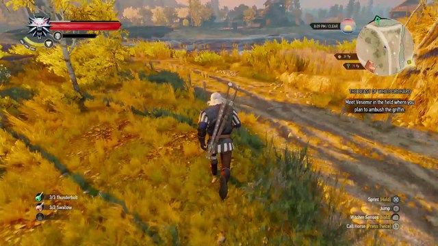 WITCHER 3 DEATH MARCH! WALKTHROUGH 19 - THE BEAST OF WHITE ORCHARD ROYAL GRIFFIN BOSS