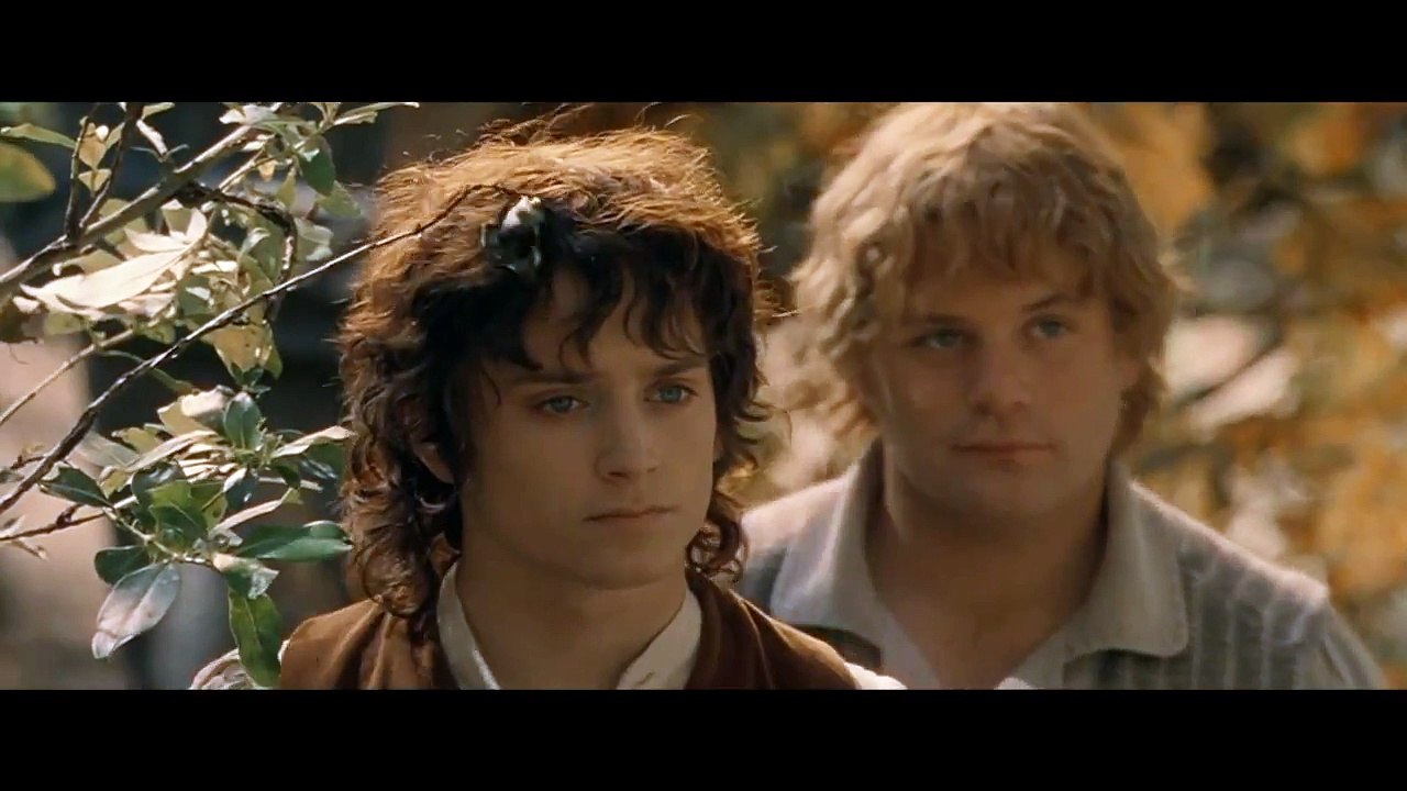 LOTR The Fellowship of the Ring - Many Meetings