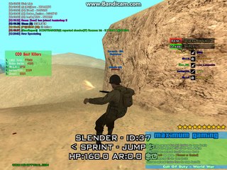 slender fly hack