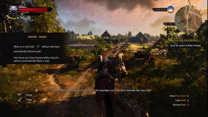 How To Catch An Arsonist:  Witcher 3 Wild Hunt Full Playthrough Part 2
