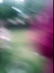 poor kid attacked by  an angry sheep