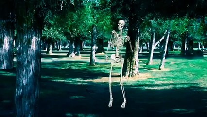 Bhootnath Skeleton dance in garden pop dj music song funny most wanted 3D -