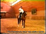 Akhal Teke stallion Alchak [Amelit-Aisona] Gelishikli line dressage training